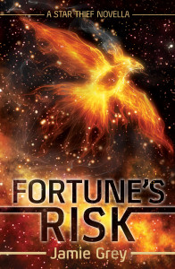 fortunes-risk-grey-ebook